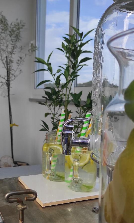Petra * Vinisce